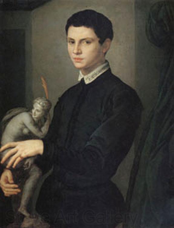 Agnolo Bronzino Portrait of a Sculptor (mk05) Germany oil painting art